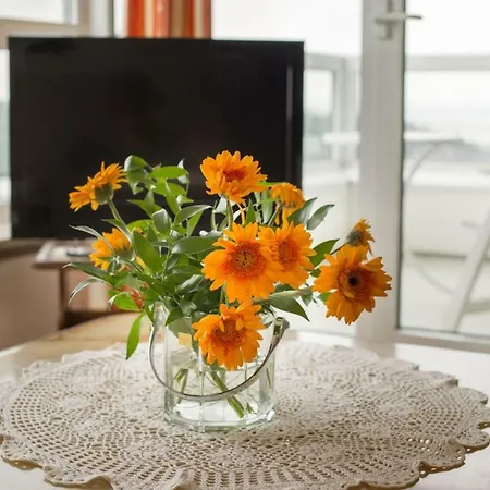 Frische Brise 12-03 Vakantiehuis